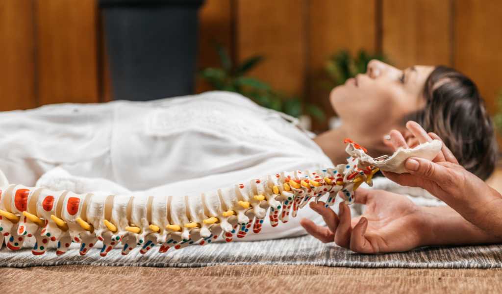 Chiropractic Wellness Care